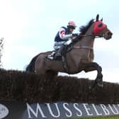 And they are off - at Musselburgh's Ladbrokes Go North Finals on Friday 21 March.