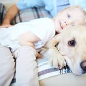 Some breeds of dog tend to form an extra-special bond with the younger members of the family.