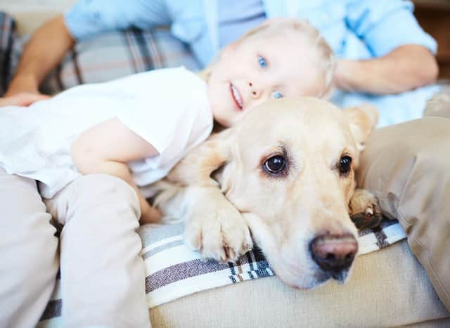 whats the best dog to have as a family pet