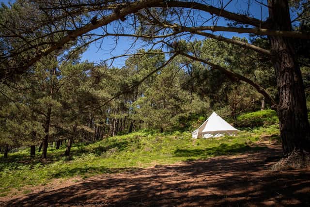 A bell tent on Brownsea Island, Dorset, which overlooks the Purbeck Hills.. Pic: PA Photo/National Trust Images/Robin Kitchin.