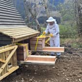 Charlotte Blackler tends her bees at the apipod.