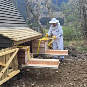 Charlotte Blackler tends her bees at the apipod.