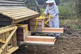 Charlotte Blackler tends her bees at the apipod.