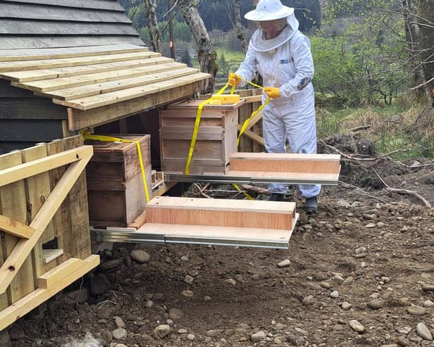 Charlotte Blackler tends her bees at the apipod.