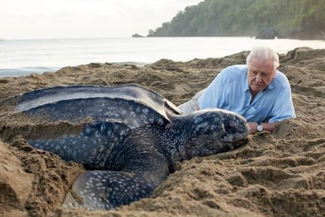 “An understanding of the natural world is a source of not only great curiosity, but great fulfilment.”
