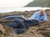 “An understanding of the natural world is a source of not only great curiosity, but great fulfilment.”