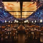 Make magical memories as Tattu is set to enchant Edinburgh with The Great Snow this Christmas. . Picture – supplied (James Brown).
