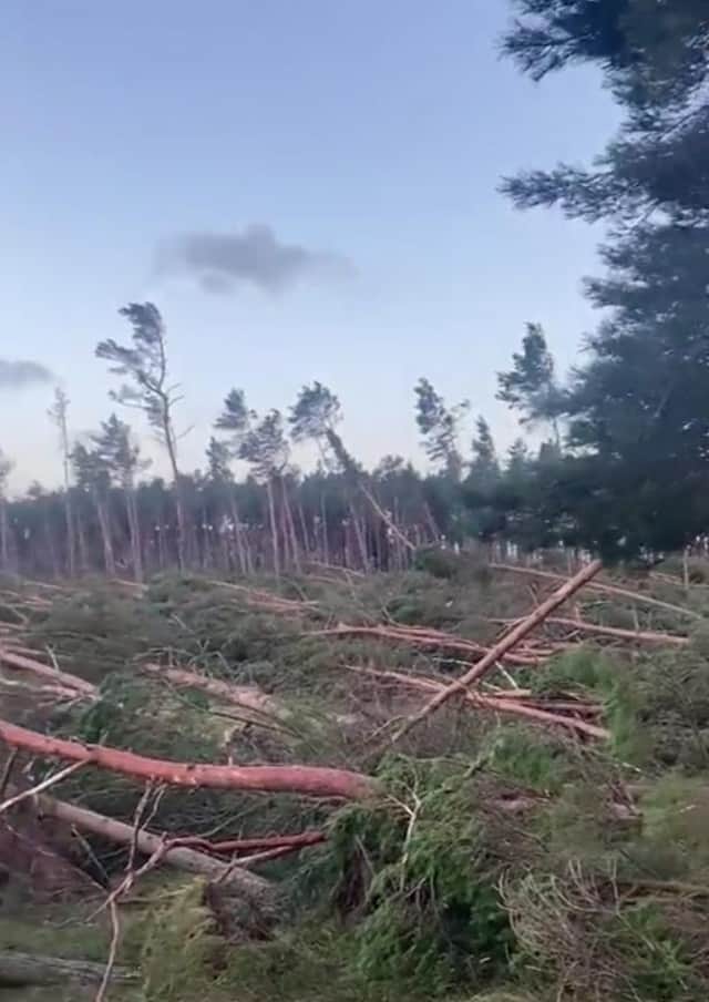Park in Dunbar 'completely devastated' by Storm Arwen.