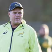South Africa's director of rugby Rassie Erasmus will be out of action for a few weeks.