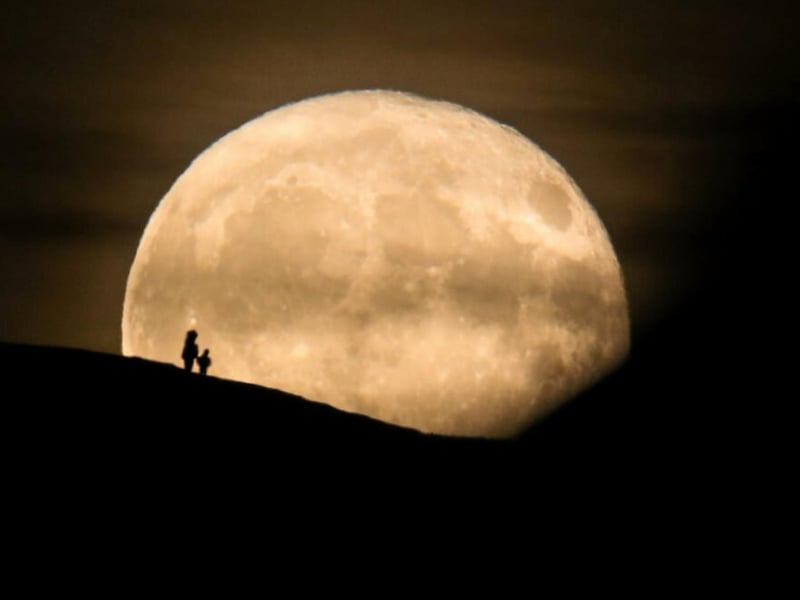 The Beaver Moon will fall on Monday, November 27 at 9.16am. Some suspect this name originates from Native American traditions of setting beaver traps during November while others connect the name to the animals themselves and their ‘retreating behaviour’ before Winter.