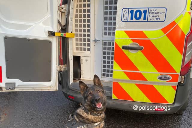 Police dog Rudi assisted with the mission picture: Police Scotland