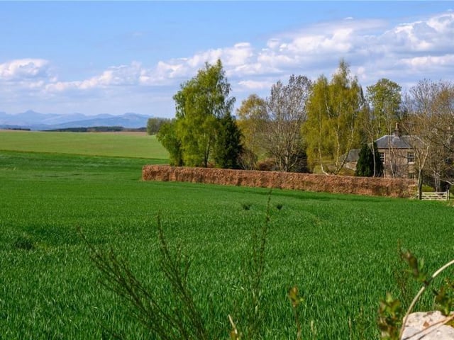 Countryside setting.