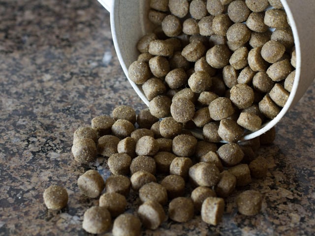 A pocketful of kibble - the protein-rich processed food made especially for animals - should have your pup hanging on your every command.