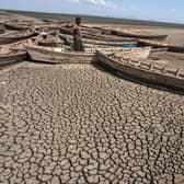 The signs of a changing climate are clear on the shores of Malawi's Lake Chilwa (Picture: Amos Gumulira/AFP via Getty Images)