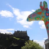 More than 40 huge giraffe sculptures will take to the streets of the Capital next year when Edinburgh Zoo’s Giraffe About Town trail goes live in Summer 2022.