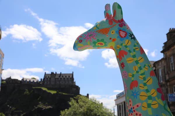More than 40 huge giraffe sculptures will take to the streets of the Capital next year when Edinburgh Zoo’s Giraffe About Town trail goes live in Summer 2022.