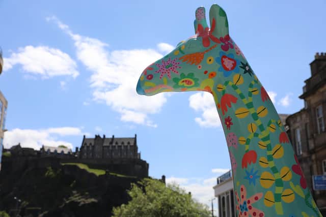 More than 40 huge giraffe sculptures will take to the streets of the Capital next year when Edinburgh Zoo’s Giraffe About Town trail goes live in Summer 2022.