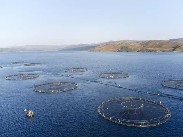 Animal welfare groups and politicians have written to the Scottish Government, calling for a moratorium on the expansion of salmon farming - which could be set to double