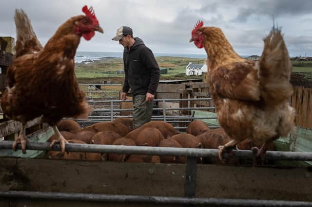 Matt Green, a 36-year old crofter with pigs he rears for his Port Mor Pork meat business on Colonsay. He was captured by Jeremy Sutton-Hibbert of Document Scotland.