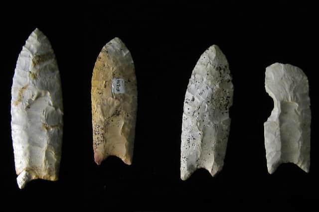 Spears, first made about 500,000 years ago in southern Africa, were revolutionary weapons and the first composite tools that combined components (Picture: Bill Whittaker at English Wikipedia)