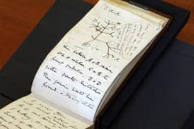 The returned 1837 'Tree of Life' sketch on a page from one of the lost notebooks of Charles Darwin.