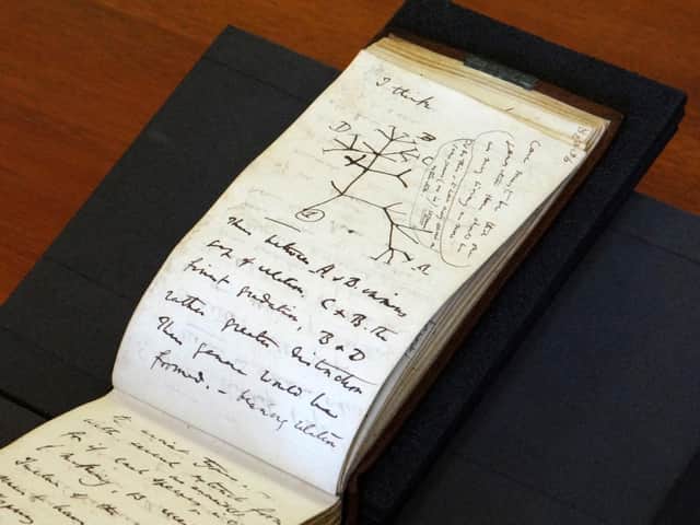 The returned 1837 'Tree of Life' sketch on a page from one of the lost notebooks of Charles Darwin.