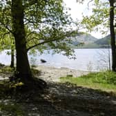 The road to Rowardennan Beach at Loch Lomond was blocked with parked cars on Saturday with police issuing fines to 70 motorists. PIC: Richard Webb/geograph.org.