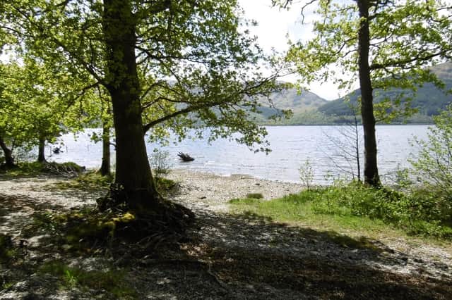 The road to Rowardennan Beach at Loch Lomond was blocked with parked cars on Saturday with police issuing fines to 70 motorists. PIC: Richard Webb/geograph.org.