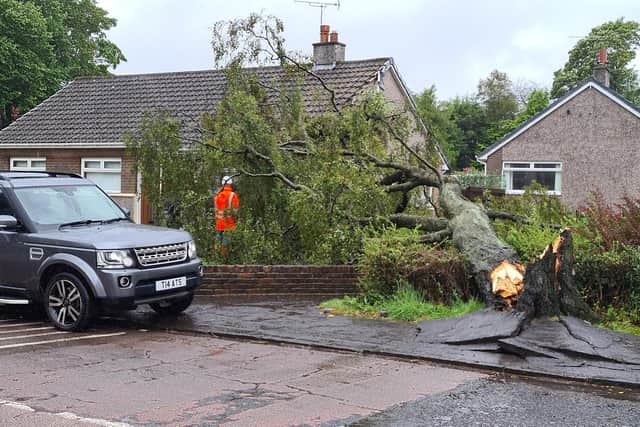 A fallen tree narrowly missed a house in Kirkintilloch Road, Lenzie. Picture: Alison Hardie.