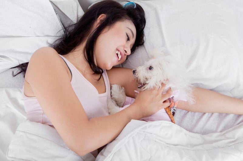 Taking the top spot as the best dog breed to have in your bed are Maltese pooches, with their small size and lack of shedding and drooling, are officially the perfect dogs to nap with.