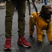 Simple things, like a dog wearing a coat, can raise a smile and brighten your day (Picture: Emmanuel Dunand/AFP via Getty Images)