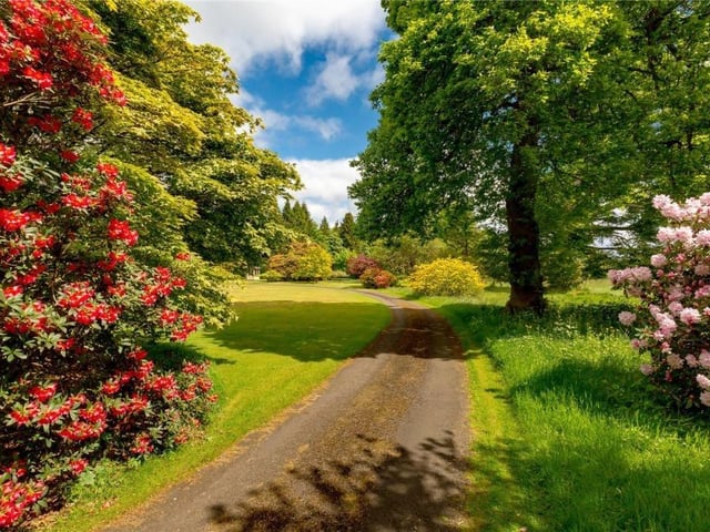 Main drive.