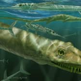 Artist impression of a Dinocephalosaurus orientalis swimming alongside some prehistoric fish known as Saurichthys.  Photo: National Museums Scotland/PA Wire