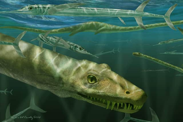 Artist impression of a Dinocephalosaurus orientalis swimming alongside some prehistoric fish known as Saurichthys.  Photo: National Museums Scotland/PA Wire