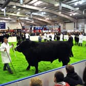 AgriScot at the Royal Highland Centre, Ingliston