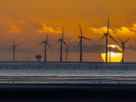 The Scottish Liberal Democrats have criticised ScotWind's checks on human rights.