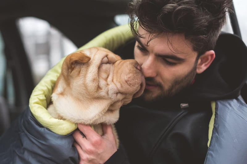 Another obvious sign of love is that tail wagging so hard it's a blur. It's a sign that they are happy - often because they are with their favourite person in the world.