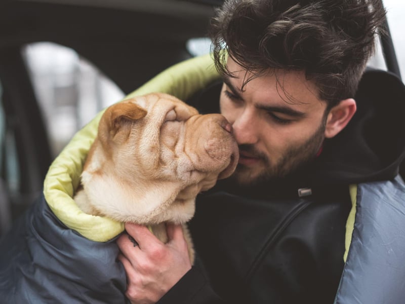 Another obvious sign of love is that tail wagging so hard it's a blur. It's a sign that they are happy - often because they are with their favourite person in the world.