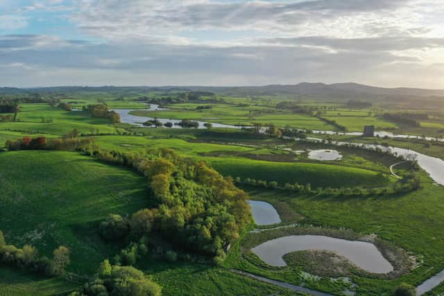 A view overlooking Threave Nature Reserve where a 100 year project is underway to restore the land to its most natural state (pic: National Trust Scotland)
