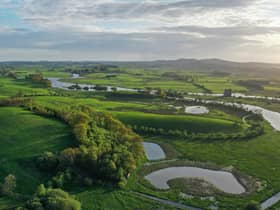 A view overlooking Threave Nature Reserve where a 100 year project is underway to restore the land to its most natural state (pic: National Trust Scotland)