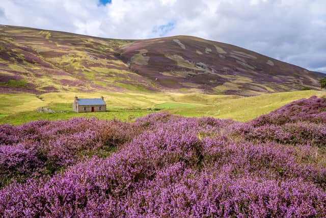 Spanning some 1,700 square miles, the Cairngorms National Park is the UK’s largest national park.