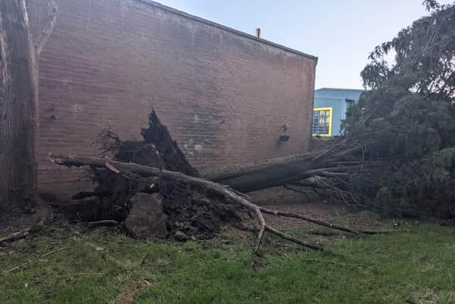 A fallen tree blocking the entrance to a block of flats in Abbeyhill, just of Easter Road, Edinburgh. (Picture Credit: Harriet Clugston)