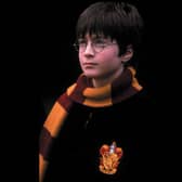 Daniel Radcliffe as Harry Potter
