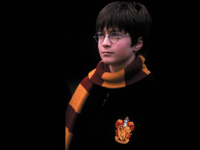 Daniel Radcliffe as Harry Potter