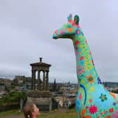 Colourful giraffe sculptures will take to the streets of the Capital next year.