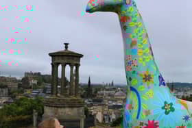 Colourful giraffe sculptures will take to the streets of the Capital next year.
