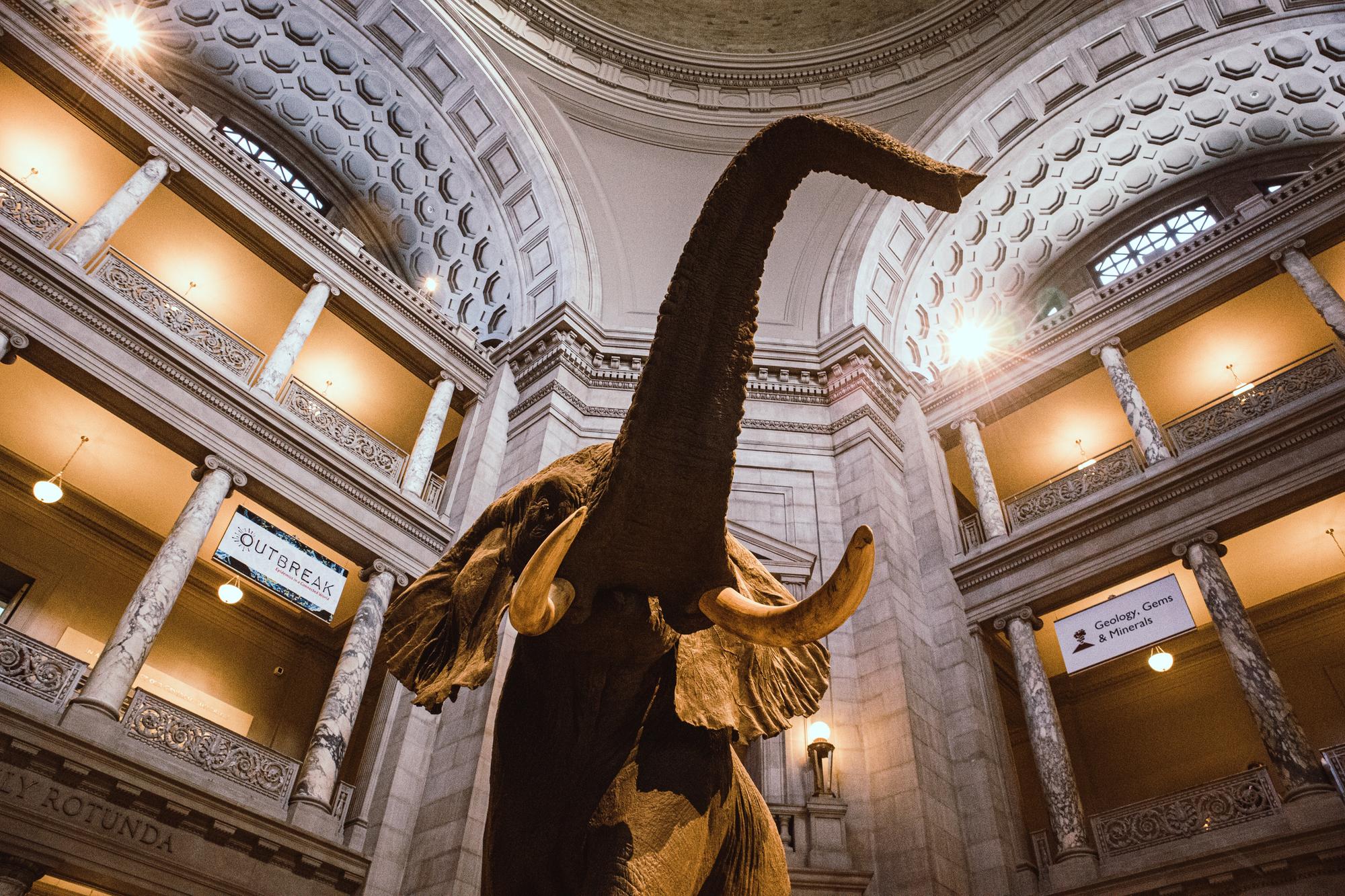 28 virtual tours for kids: some of the best museum, zoo ...