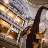 Step into the Smithsonian National Museum of Natural History without leaving home.