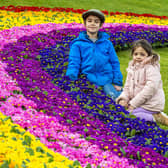 PIC LISA FERGUSON: Ivy Anderson, four, and six-year-old brother Basil marvel at the 'Rainbow of Hope'