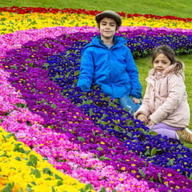PIC LISA FERGUSON: Ivy Anderson, four, and six-year-old brother Basil marvel at the 'Rainbow of Hope'